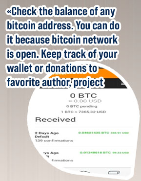 Check btc wallet